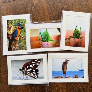 Set of (5) homemade Colorful Bird blank Greeting Card Set. 5x7 card with envelop